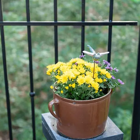 Hausmeise Ferienhaus Heidesee