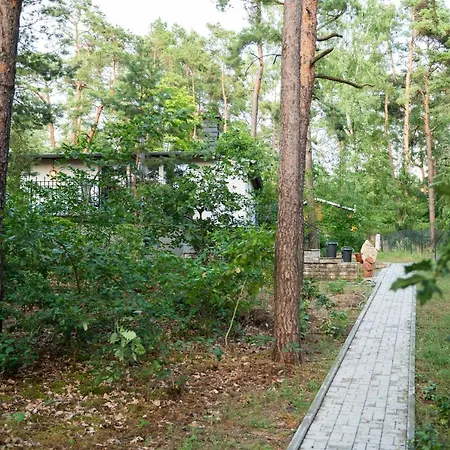 Hausmeise Ferienhaus Heidesee