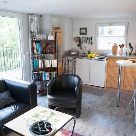 Hausmeise Ferienhaus Heidesee