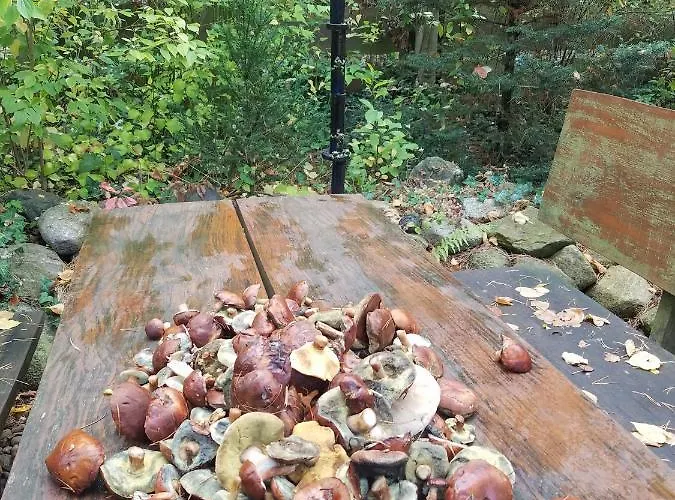 Hausmeise Дом отдыха