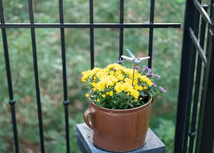 Hausmeise Дом отдыха Heidesee